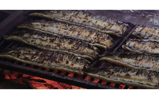 【全12回定期便】極上！国産うなぎ蒲焼 1尾×12回 計12尾 約2400g 創業100年以上続く老舗 紀州備長炭でじっくり焼き上げた専門店の味 （タレ・山椒付き）【tkb317】