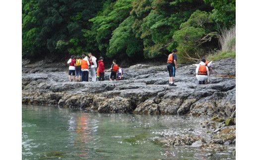 森浦湾SUP体験（大人） 中学生以上対象のSUP（スタンドアップパドルボード）体験 1時間コース / アクティビティ レジャー 体験チケット 観光【tgk107】