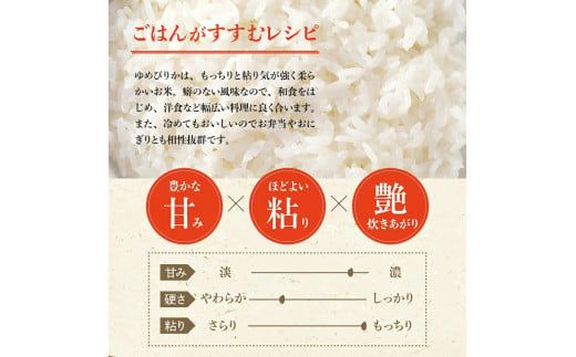 【令和6年産先行受付 2024年10月以降発送】（精米5ｋｇ）ホクレンゆめぴりか【定期便12回】 米 特A ホクレン 北海道産 ごはん ブランド 北海道米 精米 白米 定期便 _Y010-0181