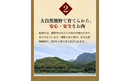 紀和牛サーロインステーキ2枚セット【冷凍】 / 牛 牛肉 ステーキ サーロイン 紀和牛【tnk100-2】