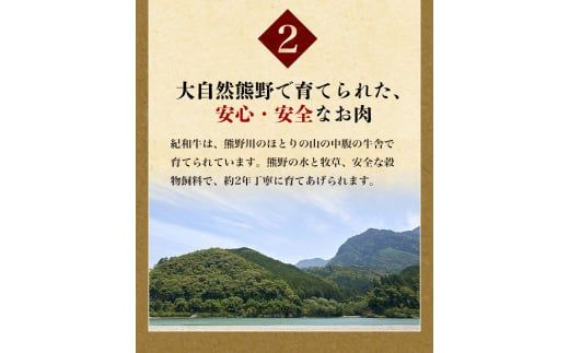 紀和牛サーロインステーキ2枚セット【冷蔵】 / 牛 牛肉 ステーキ サーロイン 紀和牛【tnk100-1】