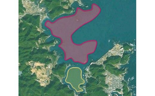 森浦湾カヤック体験（小人） 3歳～小学生　太地フィールドカヤック2時間体験コース / アクティビティ レジャー 体験チケット 観光【tgk105】