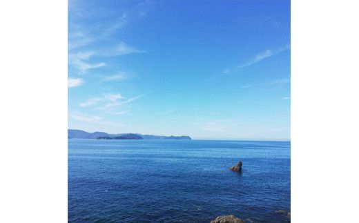 茹でたて釜揚げしらす　1kg(250g×4パック)【冷凍】無添加・無着色 【mar103】