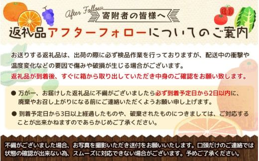 【先行予約】まりひめ いちご 12粒～15粒入り×2パック（500g）2026年1月中旬～2026年3月中旬頃に順次発送予定（お届け日指定不可）【kgr007A】