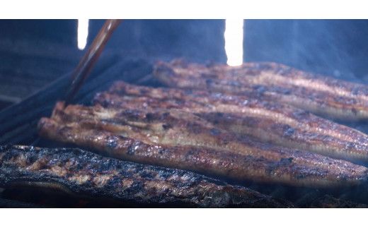 【全6回定期便】極上！国産うなぎ蒲焼 1尾×6回 計6尾 約1200g 創業100年以上続く老舗 紀州備長炭でじっくり焼き上げた専門店の味 （タレ・山椒付き）【tkb316】