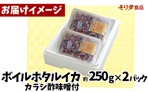 【ほたるいか 鮮度抜群 ボイル 小分け 250g×2パック 500g 酢味噌付 兵庫県産 冷蔵】【先行予約：令和7年3月以降発送予定】 生ほたるいかを水揚げ後すぐにボイル その日のうちに発送 新鮮さが