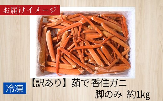 【先行予約】【訳あり 香住ガニ 脚のみ ボイル 約1㎏ 冷凍】令和8年2月～4月発送予定 香住カニ 兵庫県 香美町 香住 かに 海鮮 ベニズワイガニ 足 脚 むき身 足 身 脚  鍋 07-118