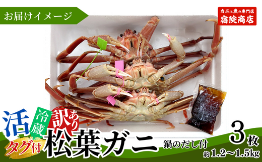 【訳あり 活松葉ガニ 生 3枚（計約1.2～1.5kg）冷蔵】※足が1～2本折れたカニが混じります 令和7年2月以降配送予定 兵庫県 香住 柴山 ズワイガニ かに 宿院商店 33-26