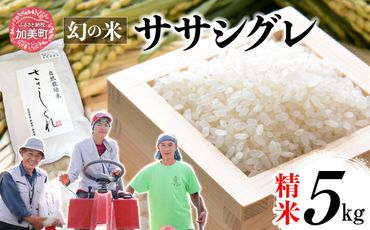 令和6年産 ササシグレ 精米 5kg