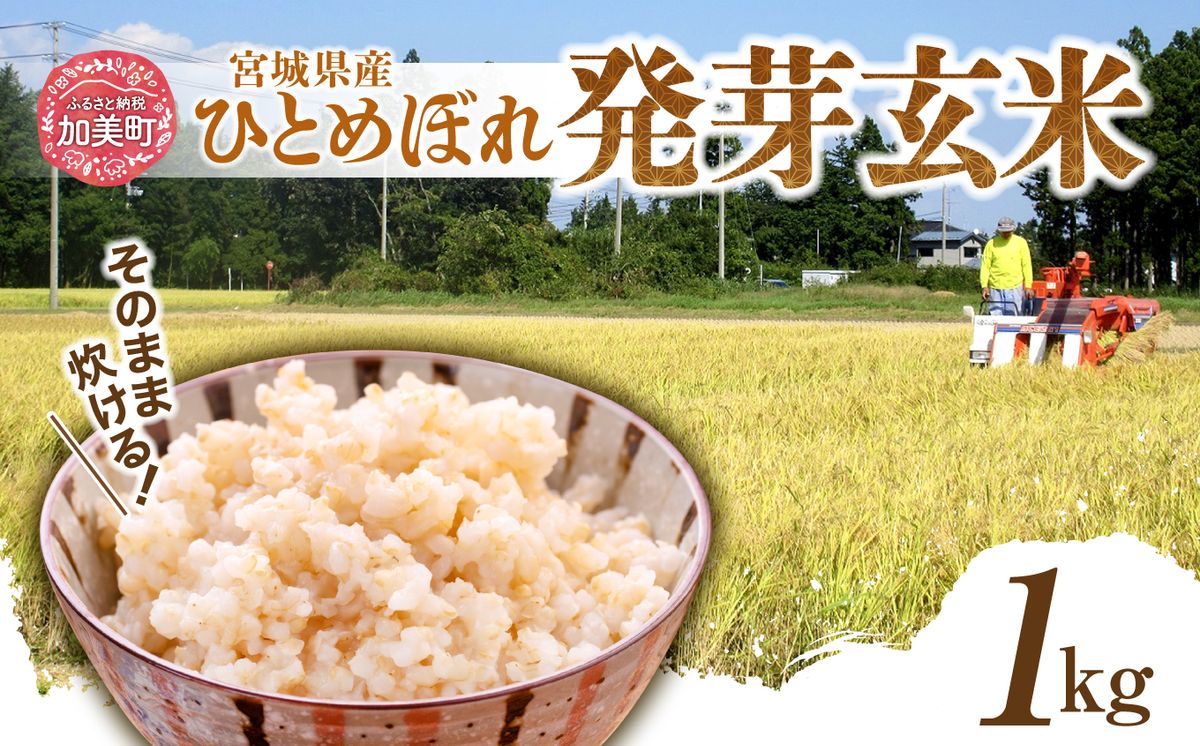 簡単に炊ける 宮城県産 ひとめぼれ 発芽玄米1kg [菅原商店 宮城県 加美町] 米 こめ コメ 玄米 発芽玄米 ご飯 | sg00004-r601-1kg
