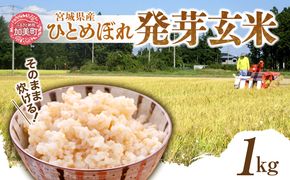 簡単に炊ける 宮城県産 ひとめぼれ 発芽玄米1kg [菅原商店 宮城県 加美町] 米 こめ コメ 玄米 発芽玄米 ご飯 | sg-hb01-hg
