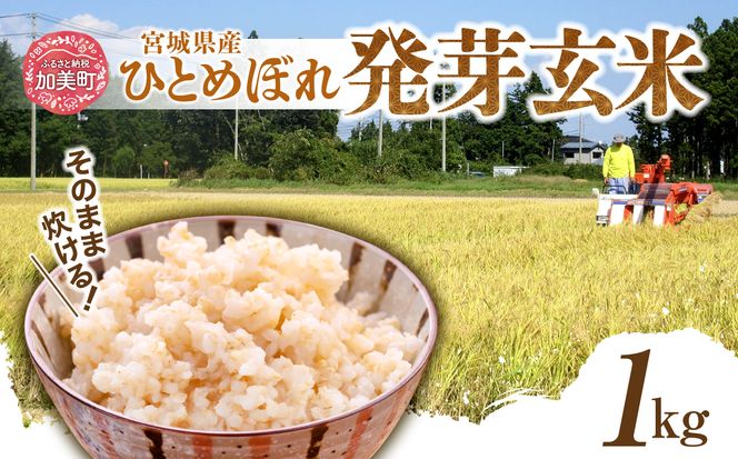 簡単に炊ける 宮城県産 ひとめぼれ 発芽玄米1kg [菅原商店 宮城県 加美町] 米 こめ コメ 玄米 発芽玄米 ご飯 | sg-hb01-hg