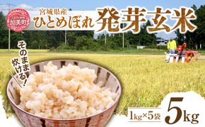 簡単に炊ける 宮城県産 ひとめぼれ 発芽玄米5kg [菅原商店 宮城県 加美町] 米 こめ コメ 玄米 発芽玄米 ご飯 | sg00004-r601-5kg