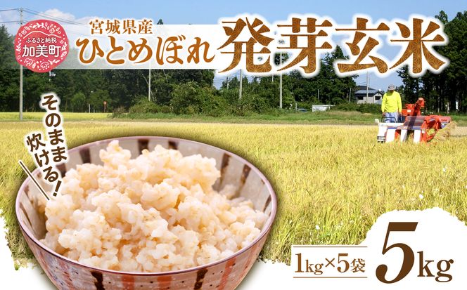 簡単に炊ける 宮城県産 ひとめぼれ 発芽玄米5kg [菅原商店 宮城県 加美町] 米 こめ コメ 玄米 発芽玄米 ご飯 | sg-hb05-hg