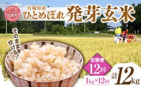 【12回定期便】 簡単に炊ける 宮城県産 ひとめぼれ 発芽玄米 計12kg(1kg×12回) [菅原商店 宮城県 加美町] 米 こめ コメ 玄米 発芽玄米 ご飯 | sg00004-r601-1kg-