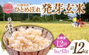 【12回定期便】 簡単に炊ける 宮城県産 ひとめぼれ 発芽玄米 計12kg(1kg×12回) [菅原商店 宮城県 加美町] 米 こめ コメ 玄米 発芽玄米 ご飯 | sg-hb01-hg-t12