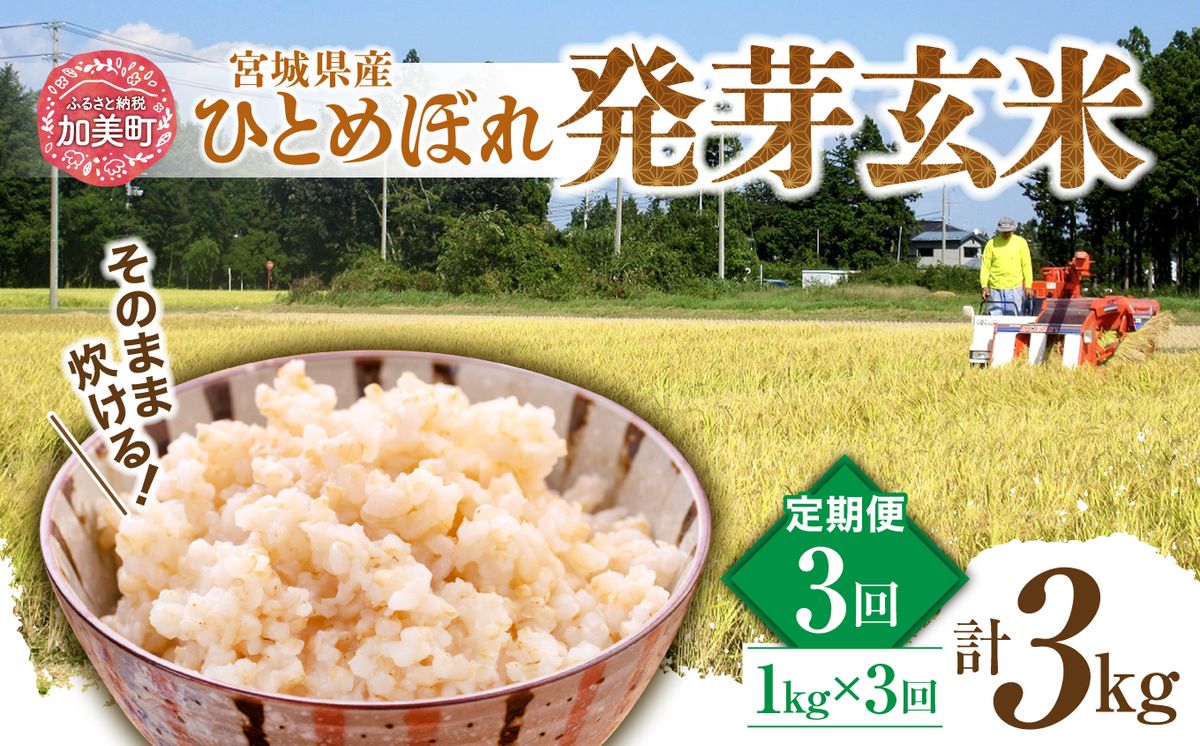 [3回定期便] 簡単に炊ける 宮城県産 ひとめぼれ 発芽玄米 計3kg(1kg×3回) [菅原商店 宮城県 加美町] 米 こめ コメ 玄米 発芽玄米 ご飯 | sg00004-r601-1kg-3