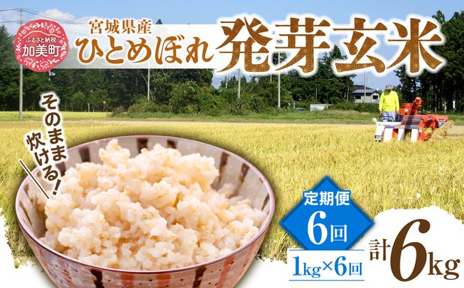 【6回定期便】 簡単に炊ける 宮城県産 ひとめぼれ 発芽玄米 計6kg(1kg×6回) [菅原商店 宮城県 加美町] 米 こめ コメ 玄米 発芽玄米 ご飯 | sg00004-r601-1kg-6