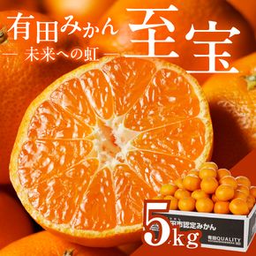 1.有田市認定みかん「未来への虹」至宝(5kg)【日本初自治体認定フルーツ】(A1-2) 