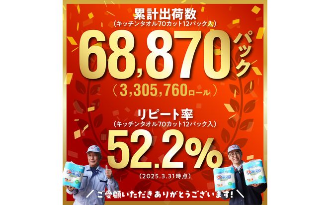 【T10036】キッチンタオル70カット（4ロール×12パック）6回お届け定期便