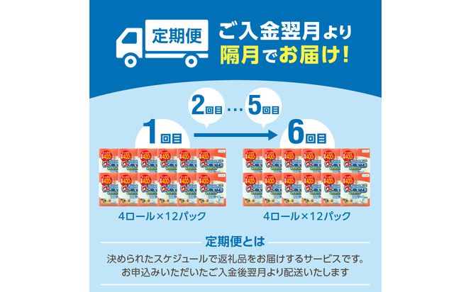 【T10044】キッチンタオル100カット（4ロール×12パック）6回お届け定期便