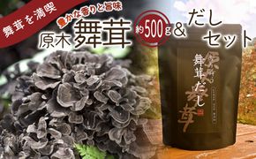 【先行予約】【2026年秋発送】丹波山村産原木舞茸500g+舞茸だし(8g x6袋)セット 2026年9月下旬より順次発送予定【tab0118】