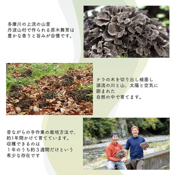 【先行予約】【2026年秋発送】丹波山村産原木舞茸500g+舞茸香油110g洋風セット 2026年9月下旬より順次発送予定【tab0178】