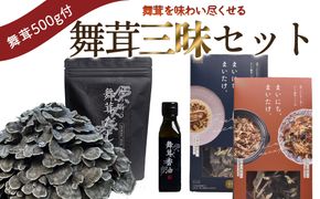 【先行予約】丹波山村産原木舞茸500g+舞茸三昧セット 2026年9月下旬より順次発送予定【tab0201】