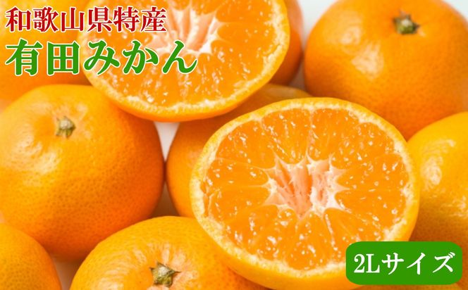 [秀品]和歌山有田みかん　9kg(2Lサイズ) ※2024年11月中旬～1月中旬頃順次発送予定（お届け日指定不可） 【tec831】