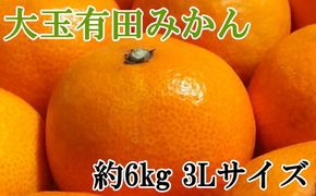 [秀品]和歌山有田みかん　6kg(3Lサイズ) ※2024年11月中旬～1月中旬頃順次発送予定（お届け日指定不可）【tec836】