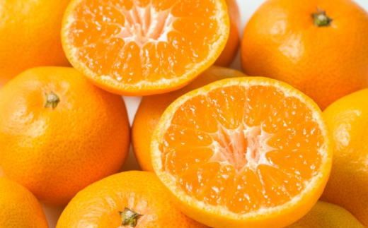 [秀品]和歌山有田みかん　6kg(3Lサイズ)※2025年11月中旬～1月中旬頃順次発送予定（お届け日指定不可）【tec836】