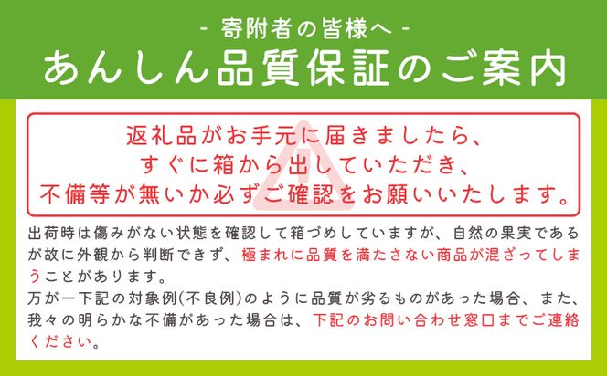 【発送開始】マスクメロン家庭用 2玉入り フルーツ メロン 果物 デザート tn-0025