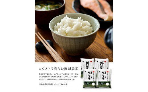令和7年産　新米 減農薬 米 特別栽培米 20kg コウノトリ育むお米 但馬産 こしひかり 兵庫県産(5kg×4袋)（94-004）減農薬 お米 20キロ 精米 白米 コウノトリ米 コシヒカリ 新米 コメ こめ ご飯 ライス 減農薬米