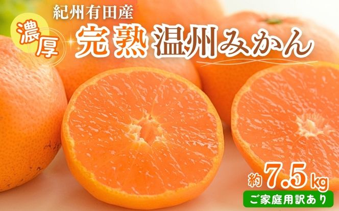 【ご家庭用訳アリ】紀州有田産濃厚完熟温州みかん　7.5kg　※2026年11月下旬～2027年1月下旬頃に順次発送予定(お届け日指定不可)【uot704A】
