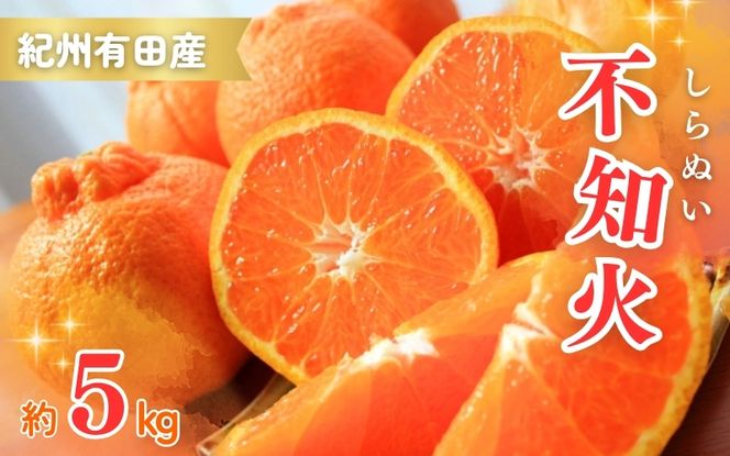 紀州有田産不知火(しらぬひ) 約5kg ＜2025年2月中旬頃～3月上旬頃発送＞【uot709】