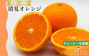 【予約】【ジューシー】清見オレンジ 5kg※2027年3月下旬頃～2027年4月下旬頃に順次発送予定（お届け日指定不可） みかん 蜜柑 ミカン フルーツ【uot710-2】