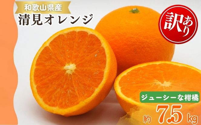 【ご家庭用訳アリ】紀州有田産清見オレンジ　7.5kg 	※2027年3月下旬頃〜2027年4月下旬頃に順次発送予定(お届け日指定不可)【uot730】