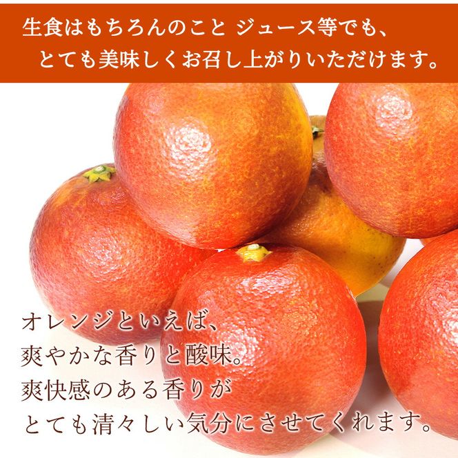 希少な柑橘!紀州有田産ブラッドオレンジ約3kg 【ご家庭用】※2026年3月上旬頃〜3月中旬頃に順次発送 (お届け日指定不可)【uot771】