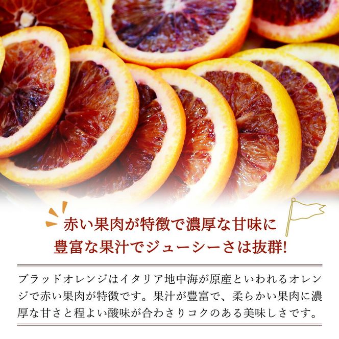 希少な柑橘!紀州有田産ブラッドオレンジ約3kg 【ご家庭用】※2026年3月上旬頃〜3月中旬頃に順次発送 (お届け日指定不可)【uot771】