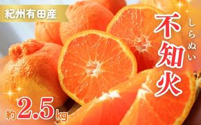 【先行予約】紀州有田産不知火(しらぬひ) 2.5kg ※2026年2月中旬頃〜2026年3月中旬頃に順次発送予定（お届け日指定不可）/ みかん 不知火 和歌山 フルーツ 有田【uot794】
