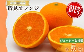 【ご家庭用訳アリ】紀州有田産清見オレンジ　5kg 	※2026年3月下旬頃〜2026年4月中旬頃に順次発送予定(お届け日指定不可)【uot833】