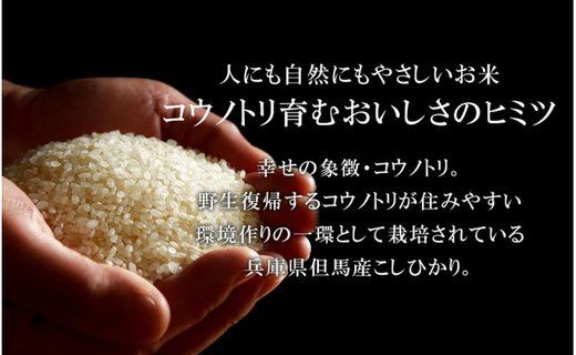 令和7年産　新米 無農薬 米 10kg コウノトリ育むお米 新米 但馬産 こしひかり 兵庫県産(5kg×2袋)（94-002）無農薬 お米 10キロ 精米 白米 コウノトリ米 コシヒカリ 農薬不使用 特別栽培米 新米 予約 コメ こめ ご飯 ライス 無農薬米