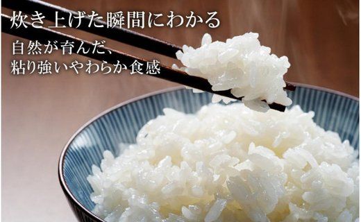 令和7年産　新米 無農薬 米 10kg コウノトリ育むお米 新米 但馬産 こしひかり 兵庫県産(5kg×2袋)（94-002）無農薬 お米 10キロ 精米 白米 コウノトリ米 コシヒカリ 農薬不使用 特別栽培米 新米 予約 コメ こめ ご飯 ライス 無農薬米