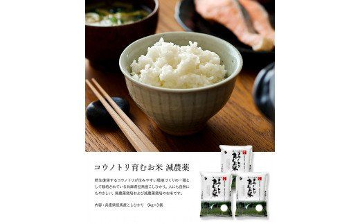 令和7年産　新米 減農薬 米 特別栽培米 5kg コウノトリ育むお米 但馬産 こしひかり 兵庫県産 (5kg×1袋)（94-004）減農薬 お米 5キロ 精米 白米 コウノトリ米 コシヒカリ 新米 コメ こめ ご飯 ライス 減農薬米
