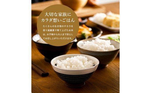 令和7年産　新米 減農薬 米 特別栽培米 5kg コウノトリ育むお米 但馬産 こしひかり 兵庫県産 (5kg×1袋)（94-004）減農薬 お米 5キロ 精米 白米 コウノトリ米 コシヒカリ 新米 コメ こめ ご飯 ライス 減農薬米