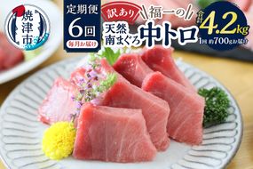 a60-020　訳あり【定期便 6回】南鮪・刺身・中トロ(約700g)