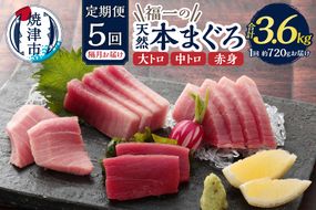 b200-037　【定期便】 天然本まぐろセット 5回隔月で届け