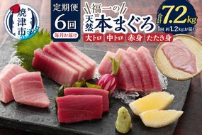 b300-015　定期便 天然本まぐろ 6回お届け
