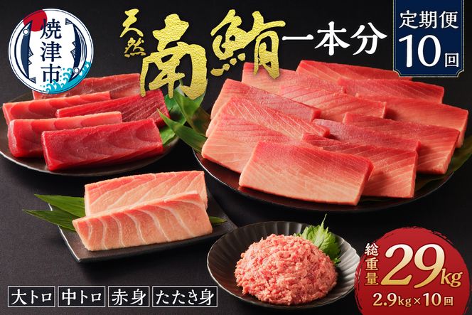 yÉĒÎszm10-001@y10z얎 1{ dʖ29kgie2.9kgj