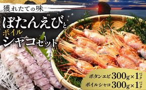 【獲れたての味！】ボタンエビ300g×1パック・ボイルシャコ300g×1パック セット品_Y022-0025